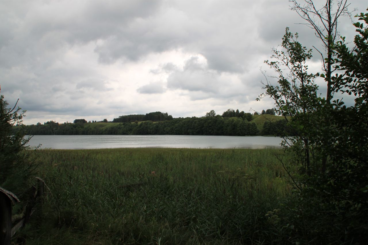 Działka siedliskowa Nowa Przerośl. Zdjęcie 4