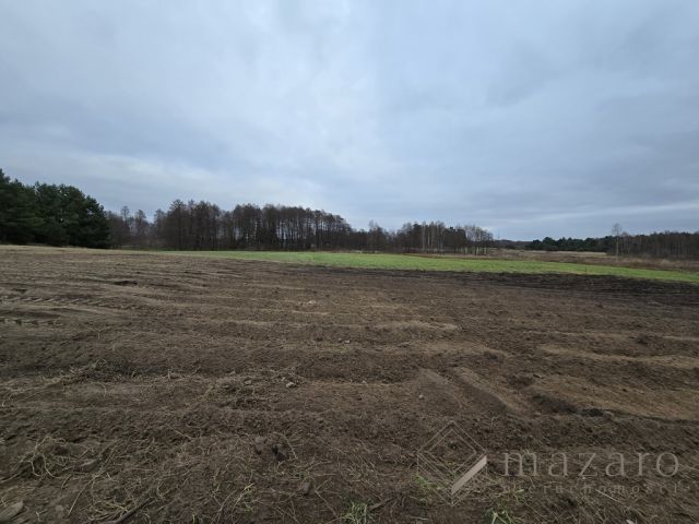 Działka rolna Drogosław. Zdjęcie 13