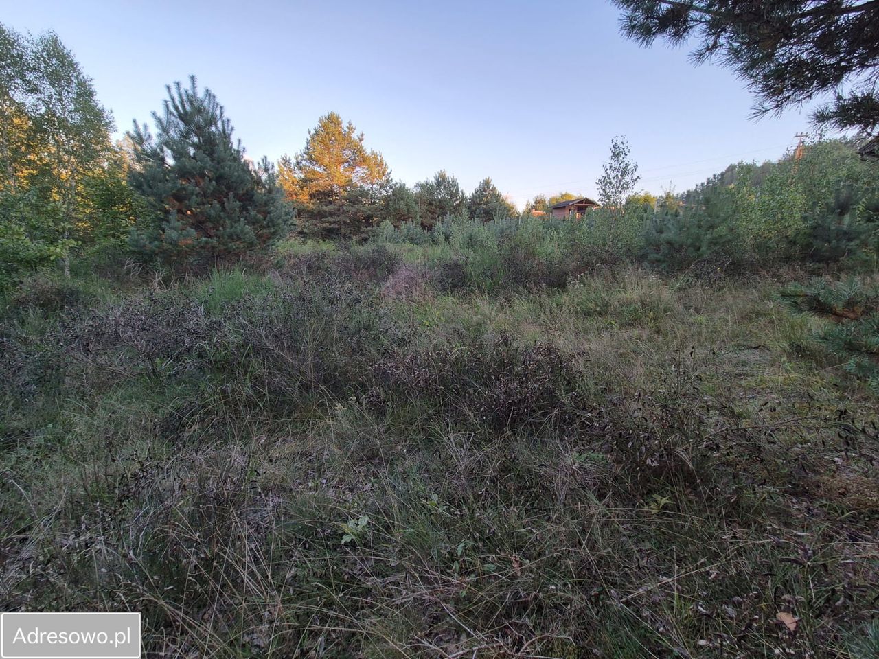 Działka budowlana Jutrzenka. Zdjęcie 5