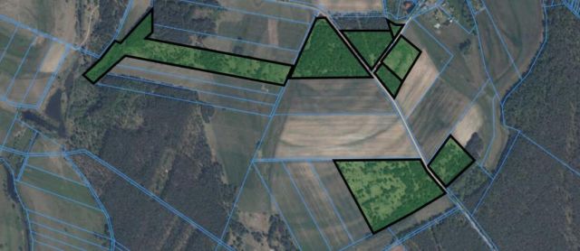 Działka rolna Osetno. Zdjęcie 2