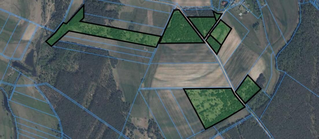 Działka rolna Osetno. Zdjęcie 2