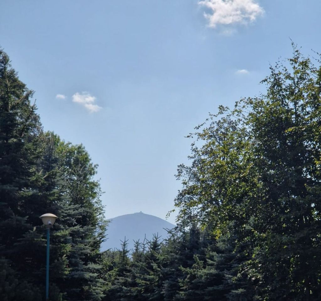 dom wolnostojący, 11 pokoi Karpacz. Zdjęcie 3