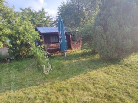 Działka rod Świdnik, ul. Sosnowa. Zdjęcie 4