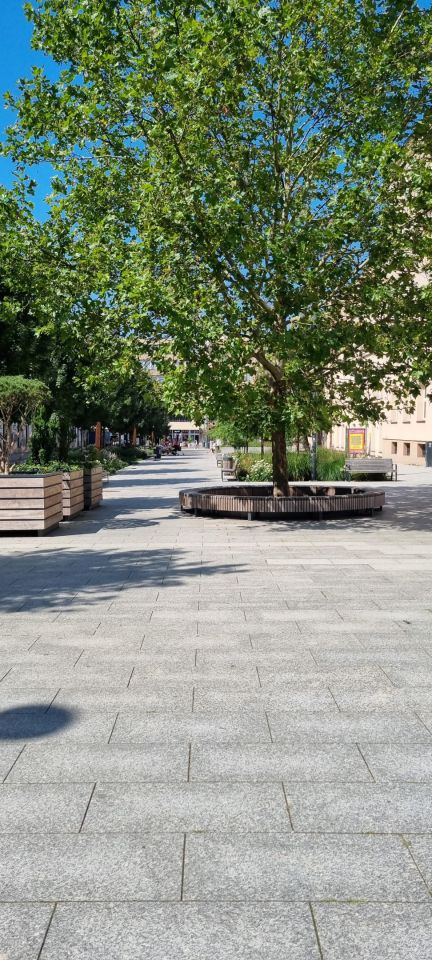 Mieszkanie 2-pokojowe Łódź Śródmieście, ul. Henryka Sienkiewicza. Zdjęcie 41