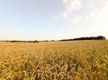 Działka budowlana Jastków, ul. Radosna. Zdjęcie 4