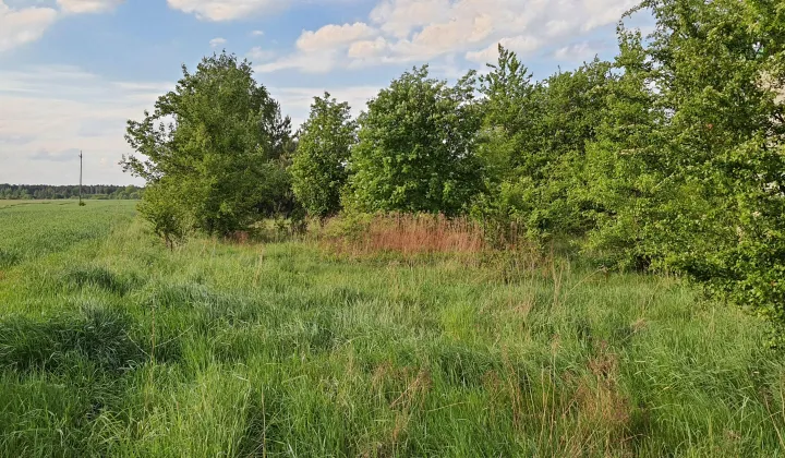 Działka rolna Łosia Wólka Dobrzyń, ul. Prosta