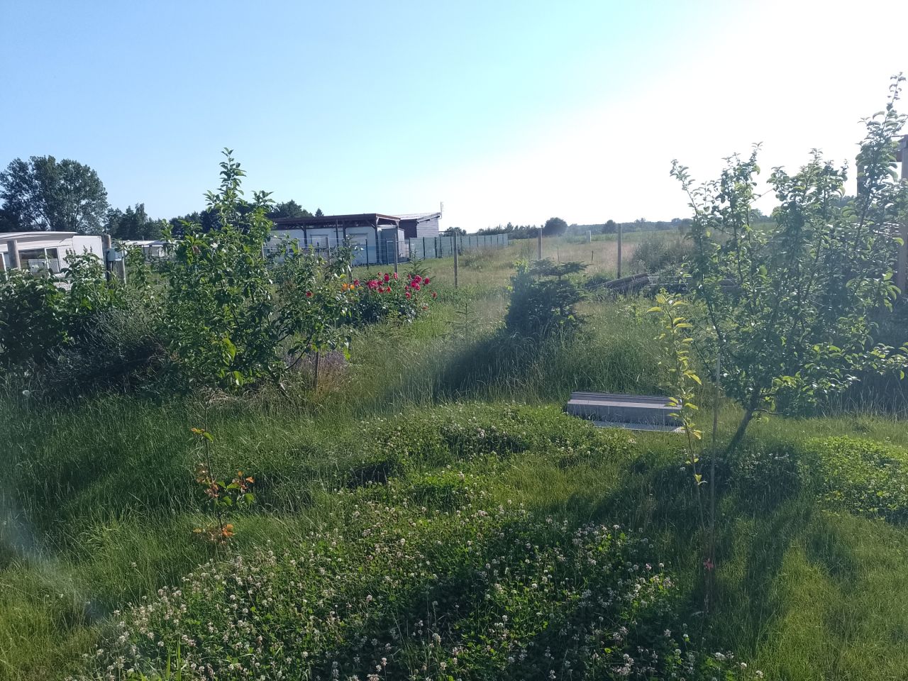 Działka rolna Mełpin. Zdjęcie 2