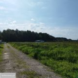 Działka rolna Dąbki, ul. Polna. Zdjęcie 1