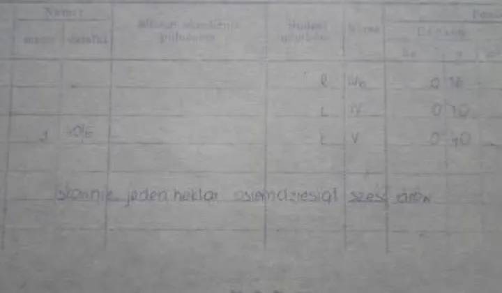 Działka rolna Myśliborskie Holendry