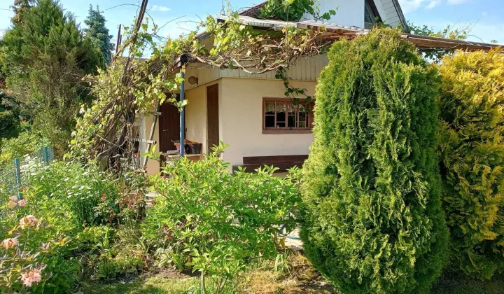 Działka rod Skierniewice