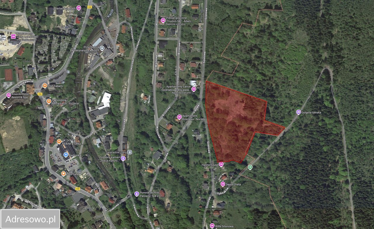 Działka inwestycyjna Świeradów-Zdrój, ul. Sosnowa. Zdjęcie 1