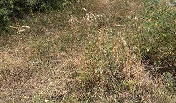 Działka budowlana Wola Łagowska