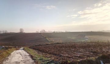 Działka rolna Wawrzeńczyce