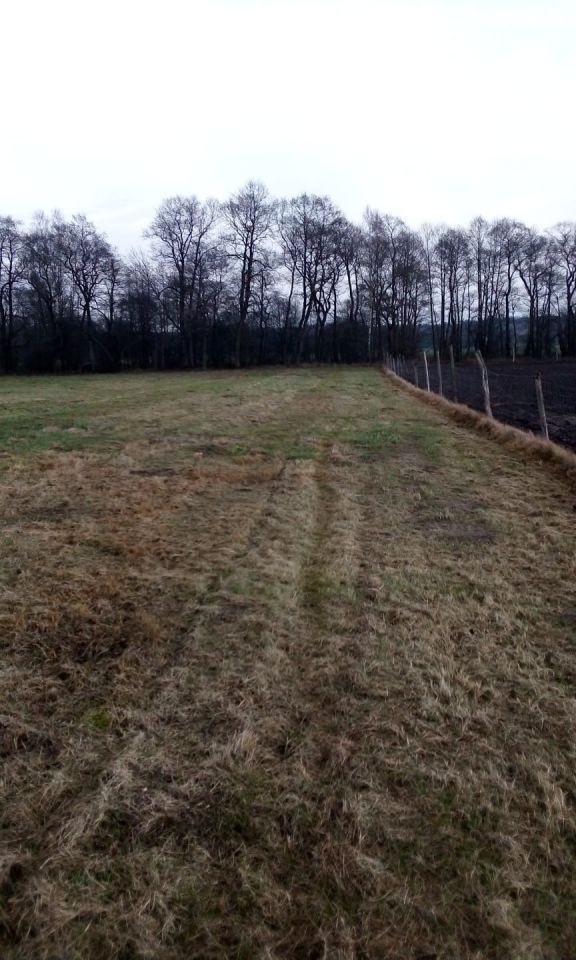 Działka budowlana Rosocha-Kolonia. Zdjęcie 2