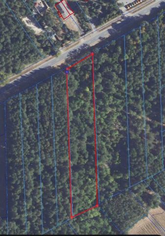 Działka leśna Laskowiec. Zdjęcie 1