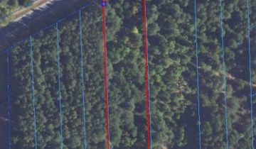 Działka leśna Laskowiec