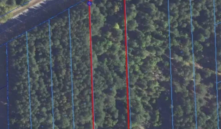 Działka leśna Laskowiec