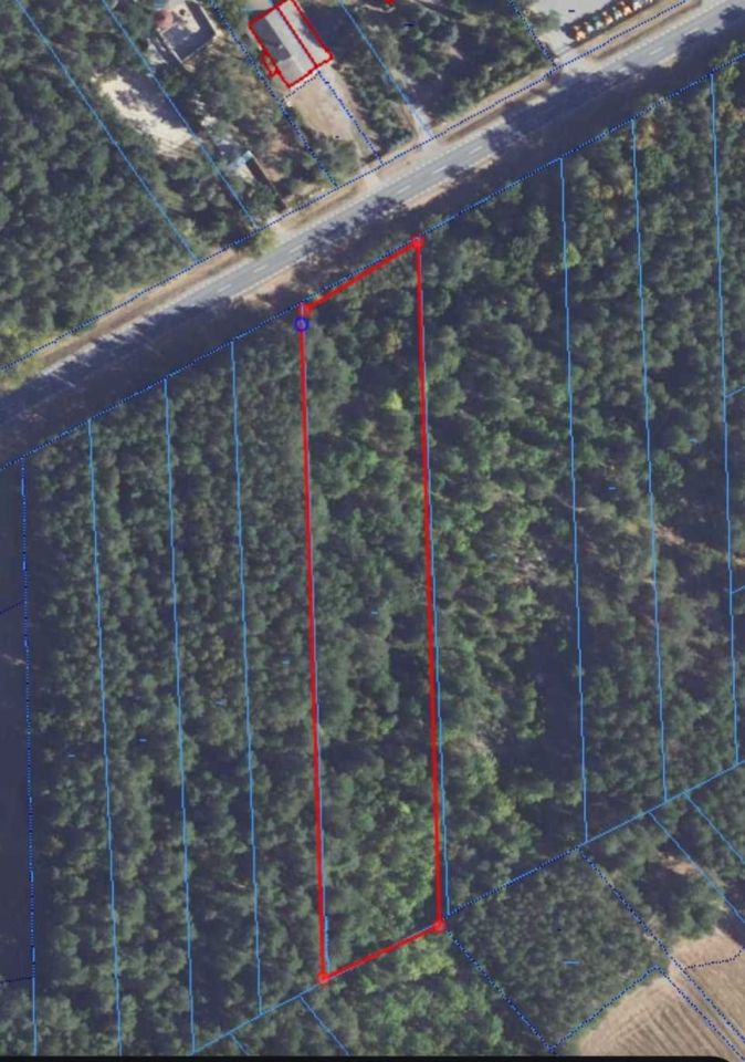 Działka leśna Laskowiec