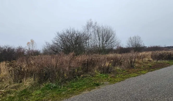 Działka budowlana Złotniki