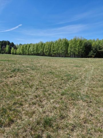 Działka rolna Nieznamierowice. Zdjęcie 2