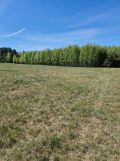Działka rolna Nieznamierowice. Zdjęcie 1