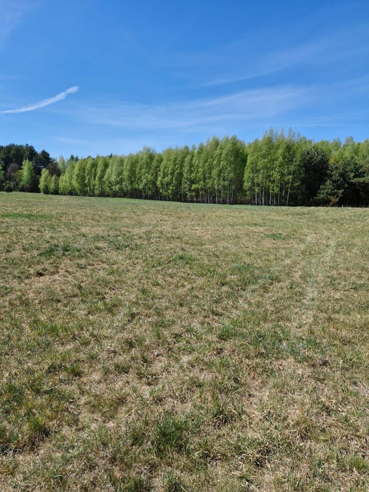 Działka rolna Nieznamierowice. Zdjęcie 2