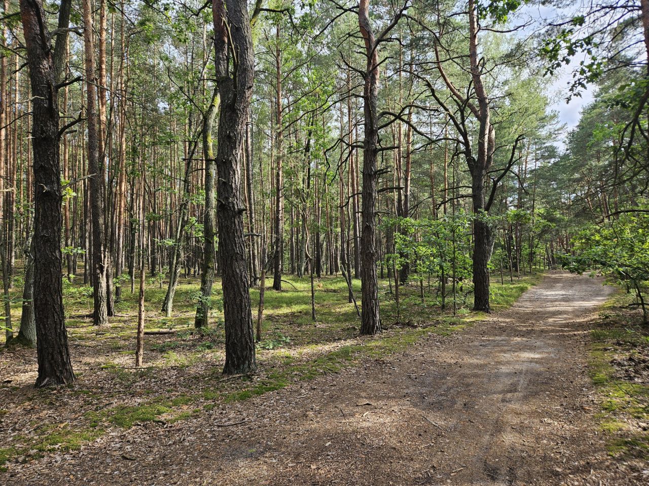 Działka inwestycyjna Warszawa Wesoła, ul. Prabucka. Zdjęcie 6
