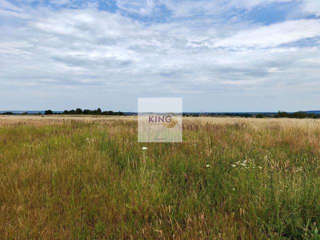 Działka rolna Karwowo. Zdjęcie 5