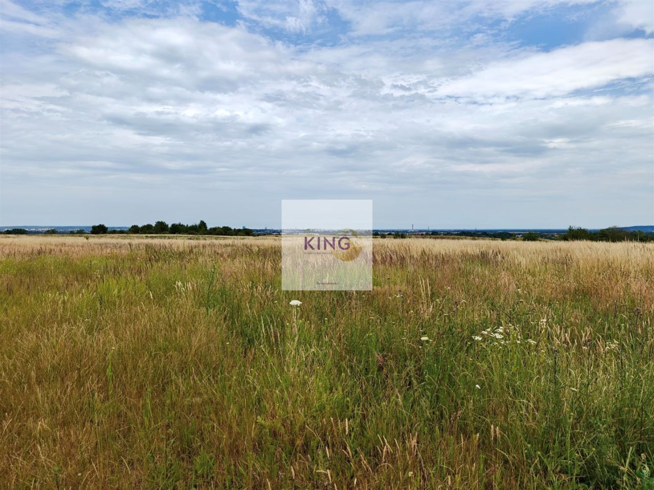 Działka rolna Karwowo. Zdjęcie 5