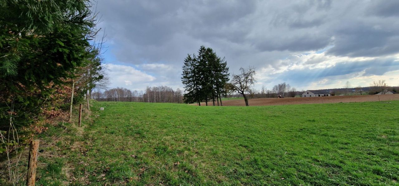 Działka budowlana Raczki