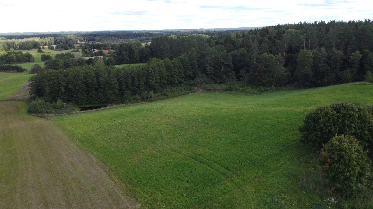 Działka budowlana Dobra Wola. Zdjęcie 4