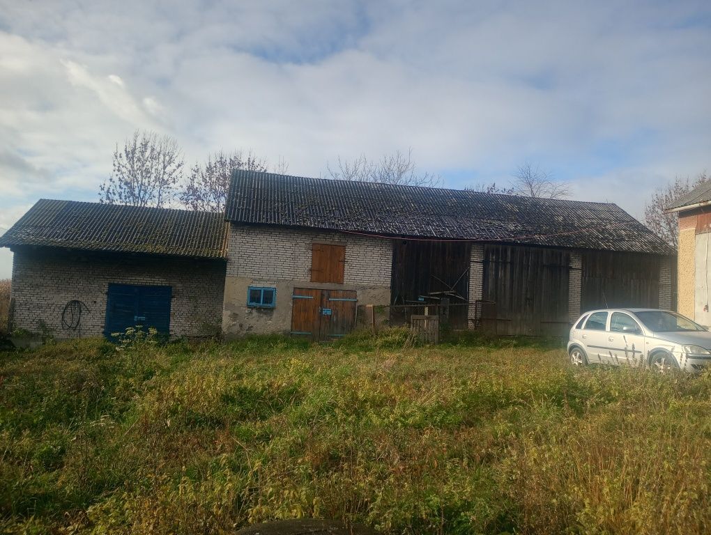 gospodarstwo Buk. Zdjęcie 3