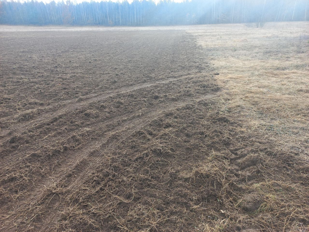 Działka budowlana Choinek, Choinek. Zdjęcie 5
