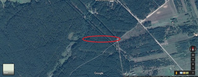 Działka leśna Przybynów. Zdjęcie 1