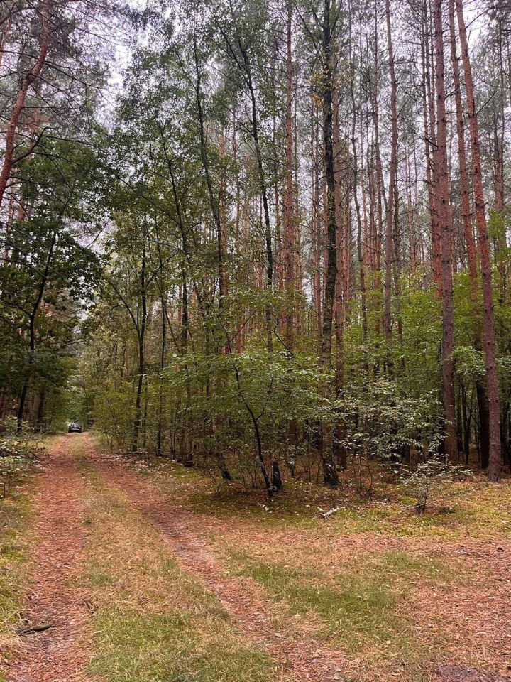Działka leśna Nowy Duninów. Zdjęcie 4