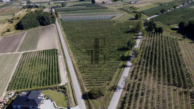 dom wolnostojący, 7 pokoi Boglewice. Zdjęcie 18