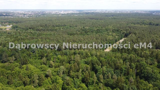 Działka Niewodnica Kościelna, Wrzosowa. Zdjęcie 5