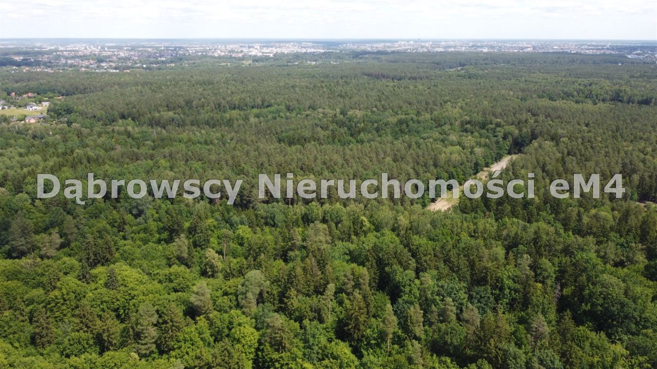 Działka Niewodnica Kościelna, Wrzosowa. Zdjęcie 5
