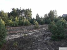 Działka budowlana Pupkowizna. Zdjęcie 1