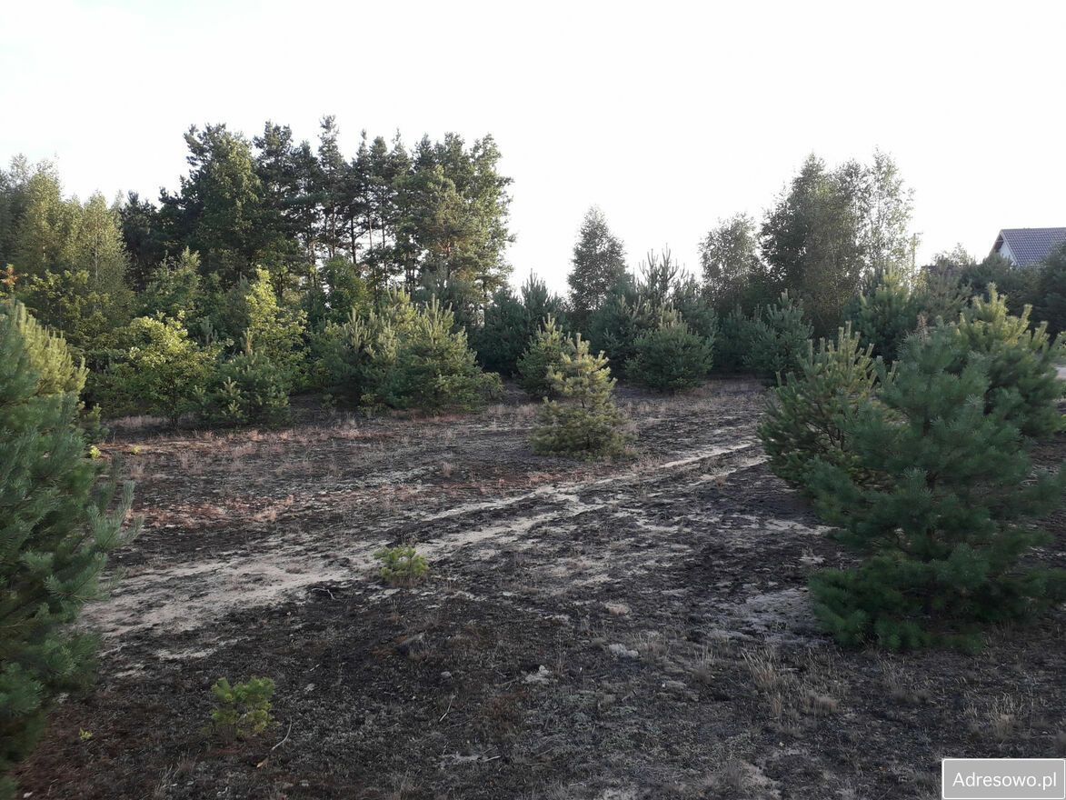 Działka budowlana Pupkowizna. Zdjęcie 2