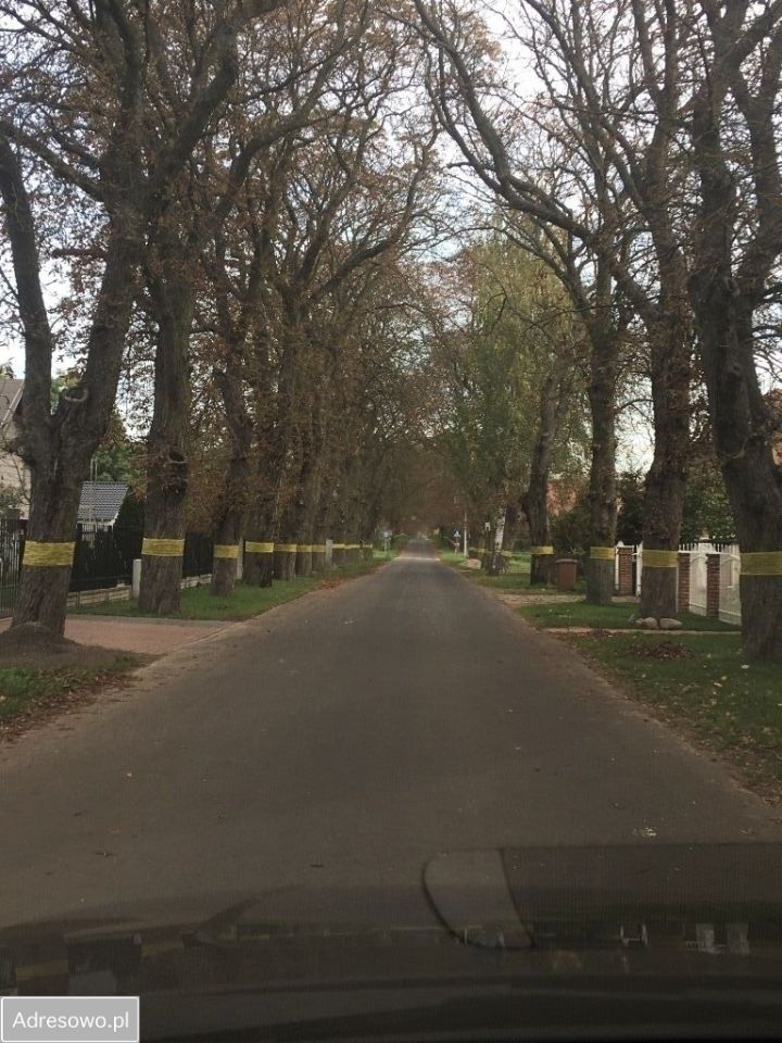 Działka rekreacyjna Bąblin. Zdjęcie 4