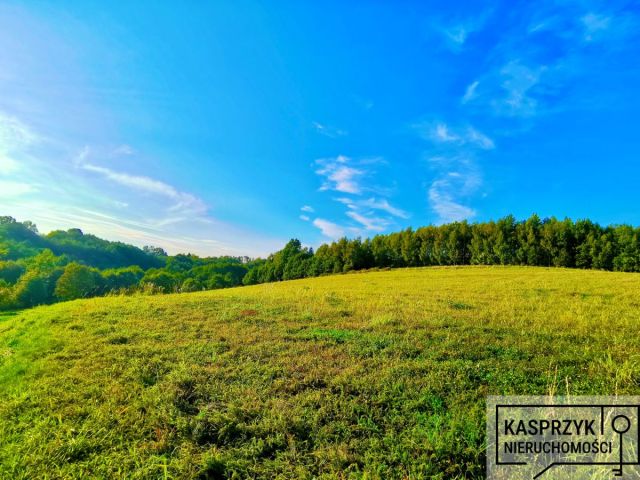 dom wolnostojący, 5 pokoi Kombornia. Zdjęcie 26