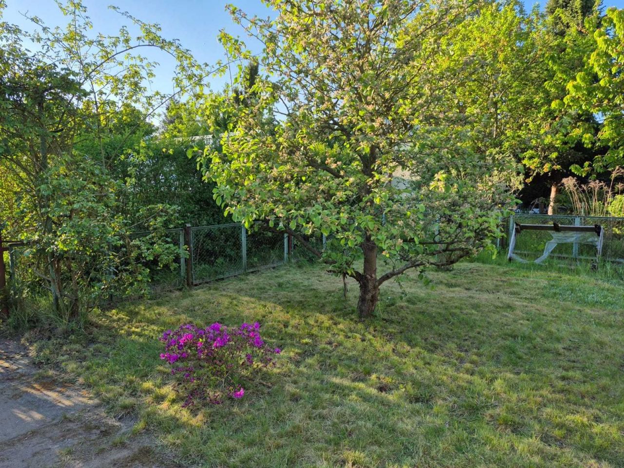 Działka rod Szczecin Pogodno, ul. Adama Mickiewicza. Zdjęcie 4