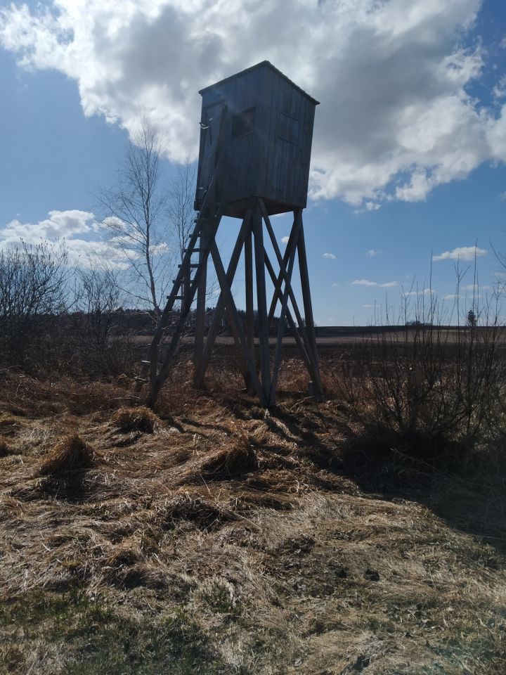 Działka rolna Mieroszyno, ul. Starowiejska. Zdjęcie 13