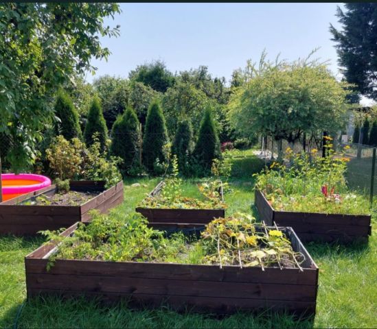 Działka rod Szczecin Krzekowo, ul. Żniwna. Zdjęcie 1