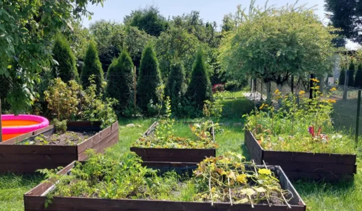 Działka rod Szczecin Krzekowo, ul. Żniwna