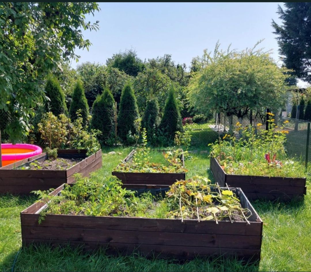 Działka rod Szczecin Krzekowo, ul. Żniwna. Zdjęcie 1