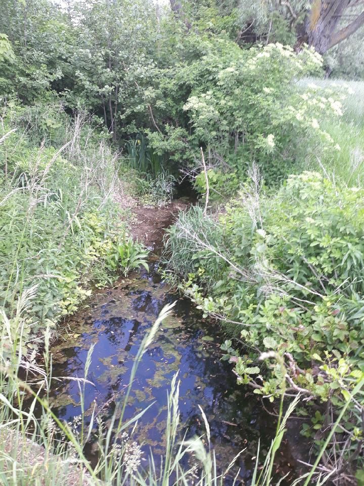 Działka budowlana Kamienica. Zdjęcie 3