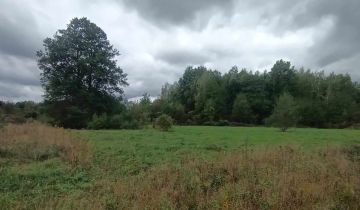 Działka rolno-budowlana Budy Michałowskie