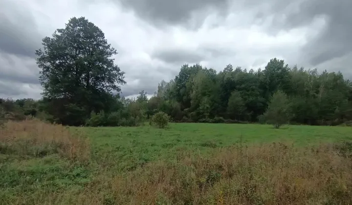 Działka rolno-budowlana Budy Michałowskie